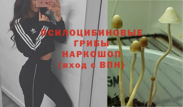 герыч Нефтекумск