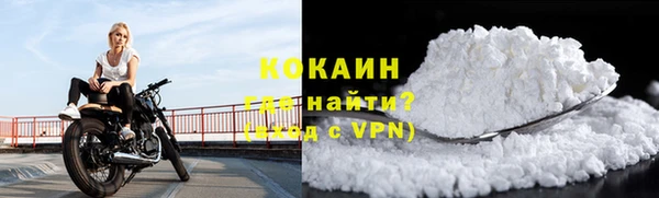 прущие грибы Няндома