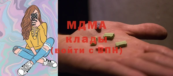 прущие грибы Няндома