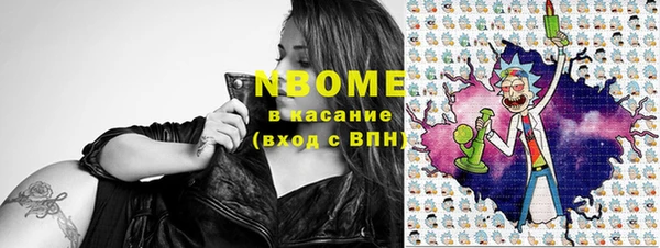 прущие грибы Няндома