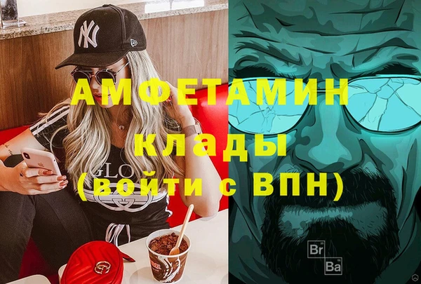 прущие грибы Няндома