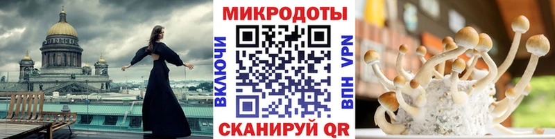 Псилоцибиновые грибы GOLDEN TEACHER  Злынка 