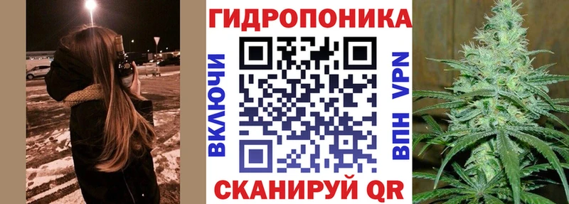 Марихуана SATIVA & INDICA  где найти наркотики  Злынка 